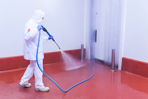 Best Sidewalk and Walkway Cleaning  in Emory, TX