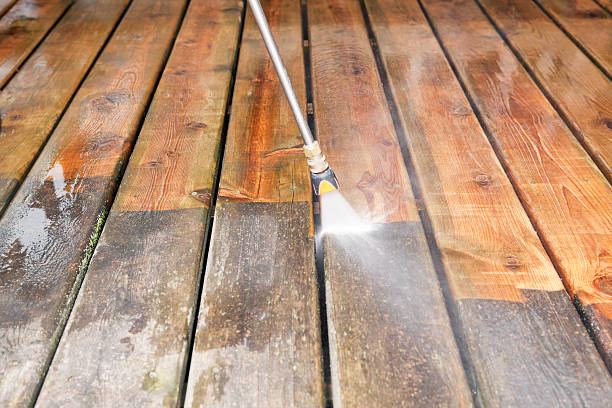 Solar Panel Cleaning in Emory, TX